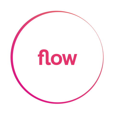 Flow Networks Logo