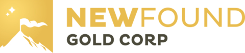 New Found Gold Corp. Logo