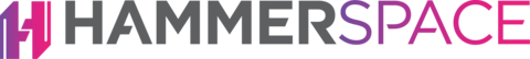 Hammerspace Logo