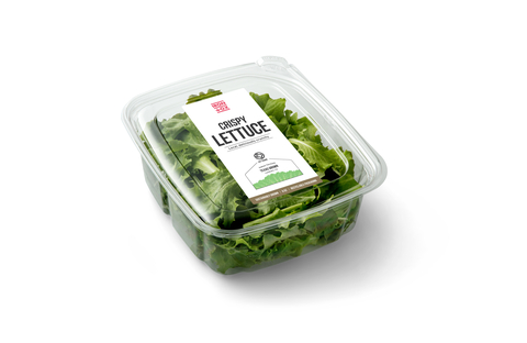 Iron Ox Crispy Lettuce (Photo: Business Wire)