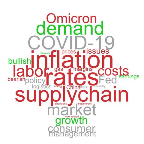 Word cloud showing investor concerns in Q4'21.