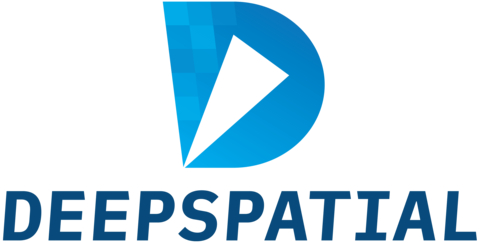 Deepspatial Inc. Logo
