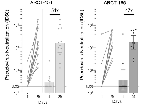 Figure 1: Pseudovirus (Omicron variant, research use) MNT assay results. Antibody titers corresponding to 50% viral inhibition (ID50) in trial participants at Day 1 (prior to boosting) and Day 29 after boosting with ARCT-154 (left; n = 12/12) and ARCT-165 (right; n = 12/12). The bar graphs show the geometric means of neutralization titers, with 95% confidence intervals. The multiples are fold rises of neutralizing antibody titers on Day 29 over Day 1 values. ID¬50: half-maximal inhibitory dose; LLOQ: lower limit of quantitation. (Graphic: Business Wire)