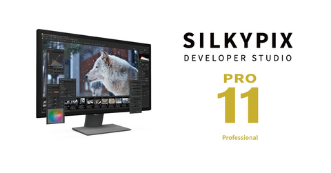 SILKYPIX Developer Studio Pro11 (Graphic: Business Wire)