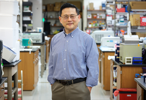 Photo Caption: Ping Wang, MD, professor & chief scientific officer at the Feinstein Institutes. (Credit: Feinstein Institutes)