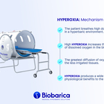 Hyperbaric_Chamber_Biobarica_Medical_Hyperbaric_Solutions.jpg