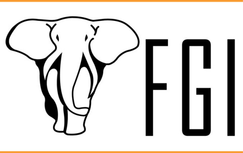 FGI Worldwide LLC Logo