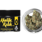 Khalifa Kush crop (1) Cannabis News