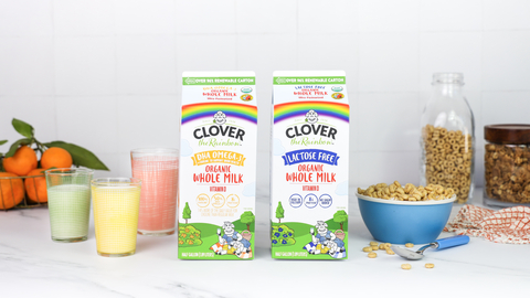 Clover Sonoma® Expands Clover the Rainbow® Kid’s Line with Two Organic Plus Whole Milks (Photo: Business Wire)
