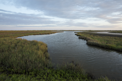 thumbnail In the decades since then, they’ve combined forces to engage Indigenous peoples in sustainable aquaculture in New Zealand, secure fresh water for people in Mexico, clean up our oceans, and save species and empower women in the Solomon Islands. (Photo Credit: Jerod Foster for The Nature Conservancy)