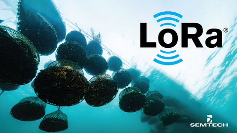 ICT国际公司的河口传感器平台安装在浮标上，利用Semtech公司的LoRa®设备监测牡蛎健康(图片来源:Business Wire)