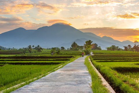 thumbnail Sustainable Concrete Professional Winner: Rahmad Himawan, Indonesia "Concrete is important in supporting human life. My photo shows a concrete road section in the middle of a rice field located in a small village in Kemumu village in Indonesia. The road makes it easy for farmers to get to work and carry out their crucial daily activities – enabling our sustainable communities to thrive. It is also used as a road for recreation, travel, and for appreciating the natural scenery around here.” (Photo: Business Wire)