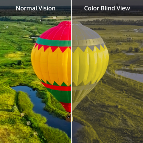 Normal color vision versus red-green color vision deficient view of a hot air balloon. (Graphic: Business Wire)