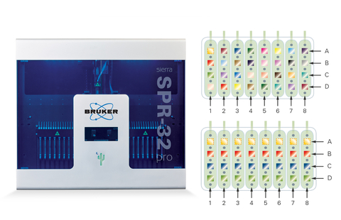 The Bruker Sierra SPR-32 Pro offers throughput-optimized assay set-ups for the development of both biologics and small molecule drug candidates. Single analytes like an antigen can be simultaneously tested against up to 31 capture antibodies (A). The same platform also allows to test up to 8 analytes against one to three targets with a single experiment (B). The latter set-up coupled with automation provides industry-leading throughput for SPR. (Graphic: Business Wire)