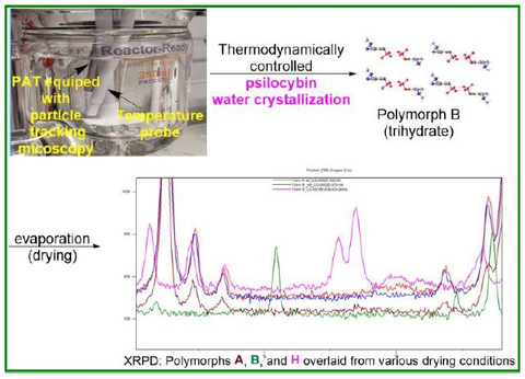 In a study published today in the journal ACS Omega, Usona Institute identifies the most favorable environments to achieve consistency and reproducibility of pharmaceutical psilocybin produced at large scale. The ability of a unique crystalline arrangement to solidify in more than one form, called polymorphs, can be optimized using precise combinations of engineering controls including temperature, cooling rate, saturation, stirring speed, and drying mode. (Graphic: Business Wire)