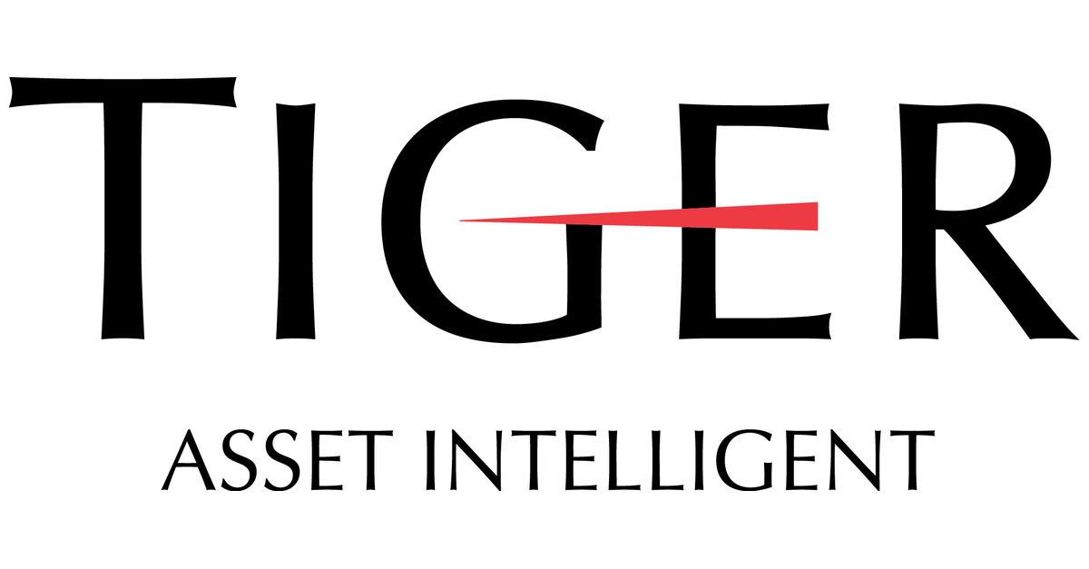 Tiger group. Tiger group. Tiger group. Группа тигры пан танга. Tiger group pro.