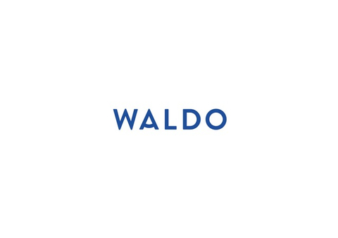 WALDO Logo