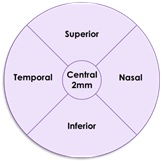 thumbnail The accompanying schematic illustrates the five standardized regions (Graphic: Business Wire)