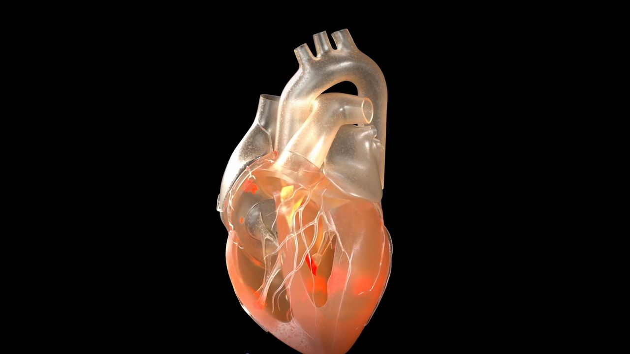 The Visible Heart Laboratories are a large research lab located at the University of Minnesota Medical School that supports medical research, student and physician education, and medical device product development and testing.