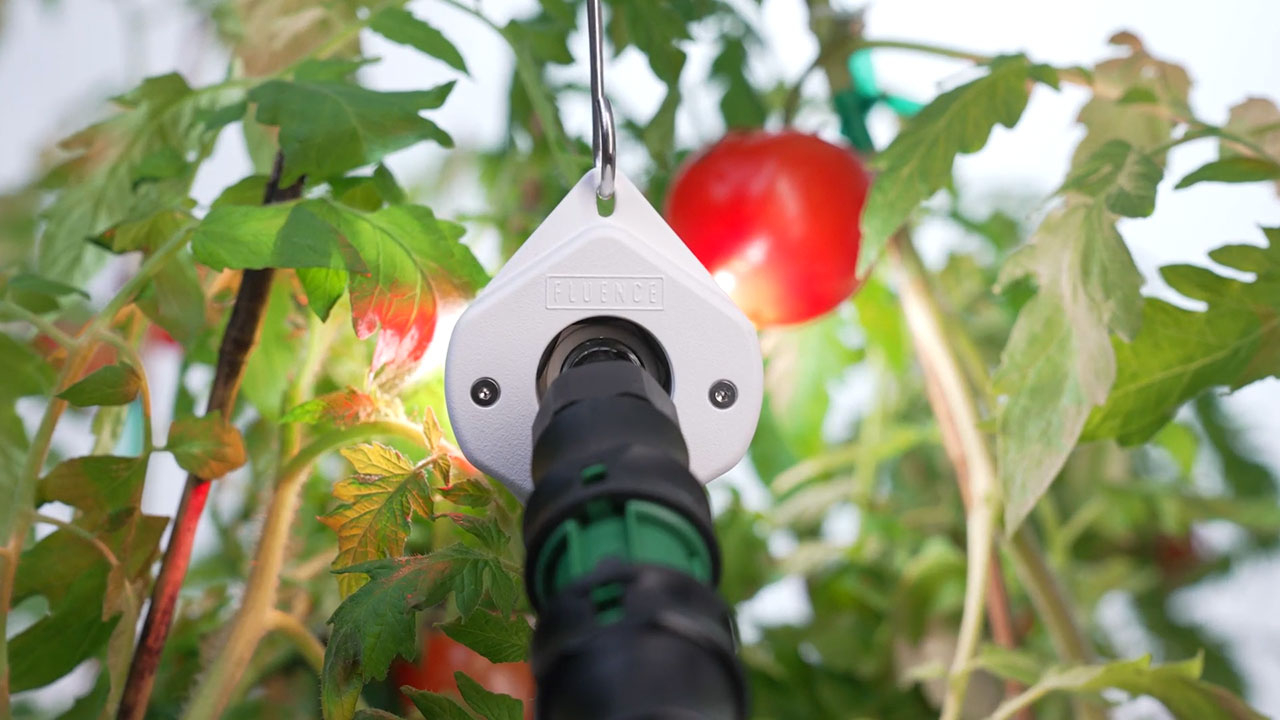 Fluence launched its intercanopy lighting solution, VYNE. The company’s newest luminaire is equipped with multiple spectral options to enable growers to balance light efficacy with crop quality and yield.
