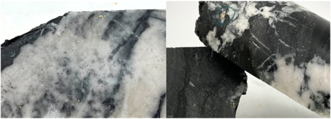 original Figure 1: Left: Photo of mineralization from NFGC-21-263 approximately 194.4m down hole depth and Right: NFGC-21-387 approximately 445.3m down hole depth. Note that these photos are not intended to be representative of gold mineralization in hole NFGC-21-263 and NFGC-21-387. (Photo: Business Wire)