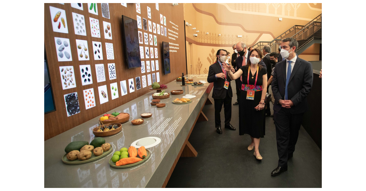 Peru Brings the Mighty Super Foods to Expo Dubai | Business Wire