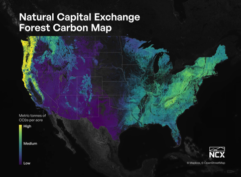 Amount of carbon stored in the contiguous United States forests. (Graphic: Business Wire)