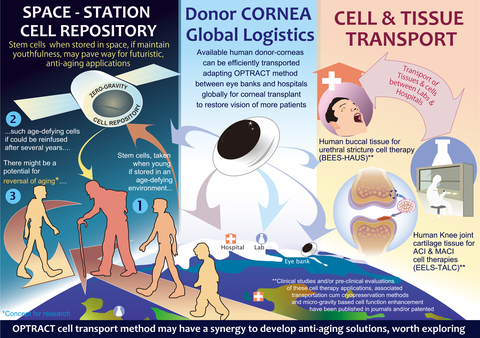 original A cell repository aboard a space station in zero gravity or in a micro gravity of other planets or inter-stellar space, in which, if aging related implications or damages to cells could be alleviated, storing human stem cells for certain duration, with suitable gravitational forces and then re-infusion, might yield restoration of youth. Accomplishments by OPTRACT method-based transportation of cells and tissues between hospitals and laboratories for regenerative medicine - cell therapy applications, human cadaver corneal transportation across destinations and cryopreservation of stem cells; several published by the Japanese scientists and granted patents, have paved way to these futuristic research strategies of space-age anti-aging solutions. The OPTRACT method based in vitro culture has yielded reversal of senescence of human chondrocytes in the lab, employing proprietary tissue engineering techniques. (Graphic: Business Wire)