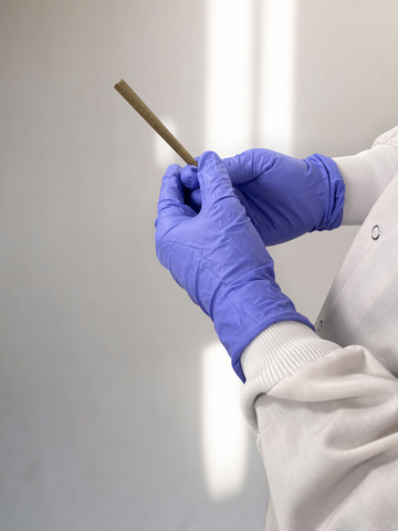 original (Photo: Business Wire)