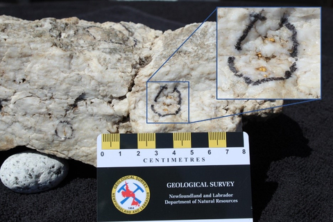 thumbnail Figure 5. Photo of mineralization from a 1744 float grab sample (Photo: Business Wire)