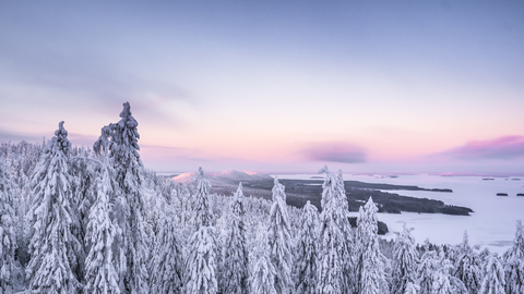 The annual Finnish national title of Tourist Area of the year has been awarded to the Koli Tourist Area. Koli is located in North Karelia, Finland. Koli is undergoing extensive zoning work to enable further development in the area. Significant building complexes are under construction. The North Karelia Cooperative is an important development partner in the region and recent news of their new hotel construction in the village is welcomed to increase accommodation capacity and services. (Graphic: Business Wire)