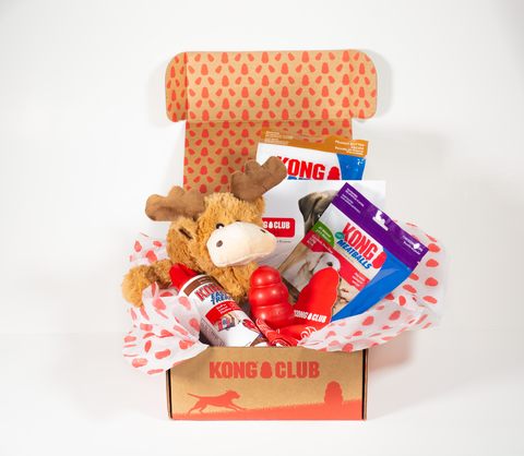 KONG Club monthly dog box - dogs love to play and our monthly membership is designed to help dogs use play to practice their natural instincts. This reduces destructive behavior and leads to joyful pets! (Photo: Business Wire)