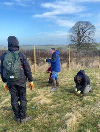 Ameresco team members partnered with Yorkshire Dales Millennium Trust (YDMT), an independent charity dedicated to the preservation of woodlands in the Yorkshire Dales, to plant 500 trees across the region this year. (Photo: Business Wire)