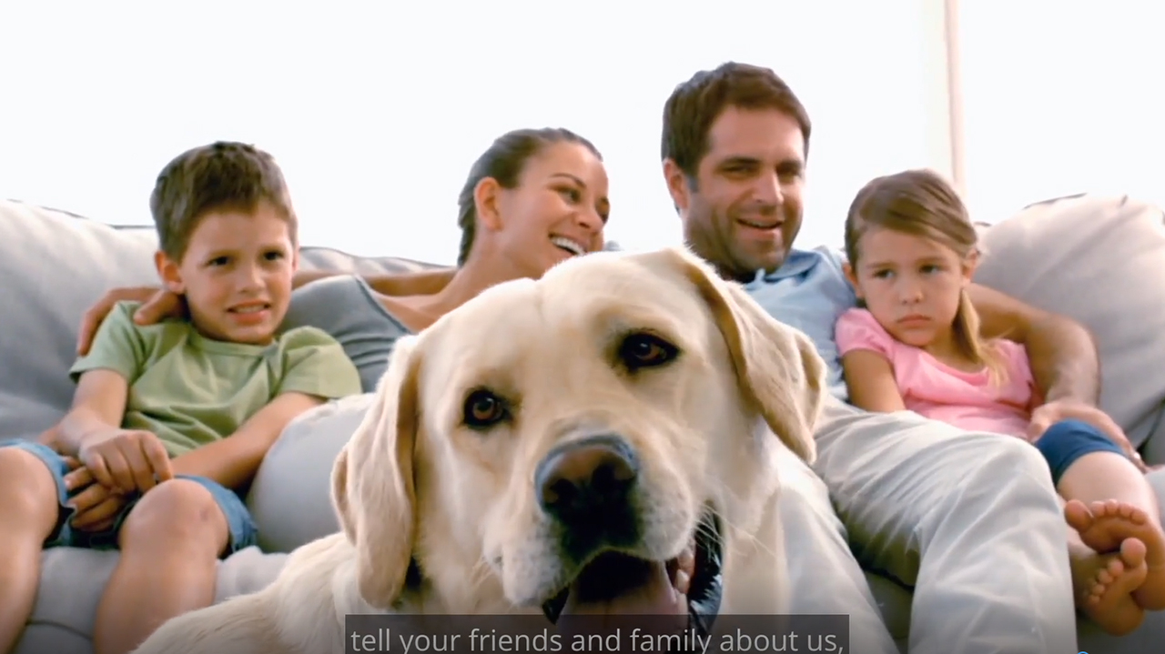 MetLife Pet Insurance is introducing an exciting new rewards program – in partnership with LifeBalance, a discount network for employees and health plan members – to provide pet parents access to discounts and offers on pet care essentials.