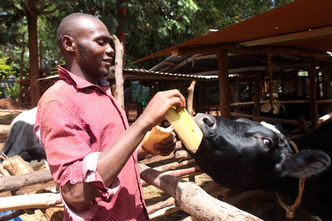 Raising livestock is important to secure people's livelihood in Sub-Saharan Africa. (Photo: Business Wire)