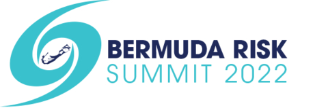 Bermuda Business Development Agency Logo