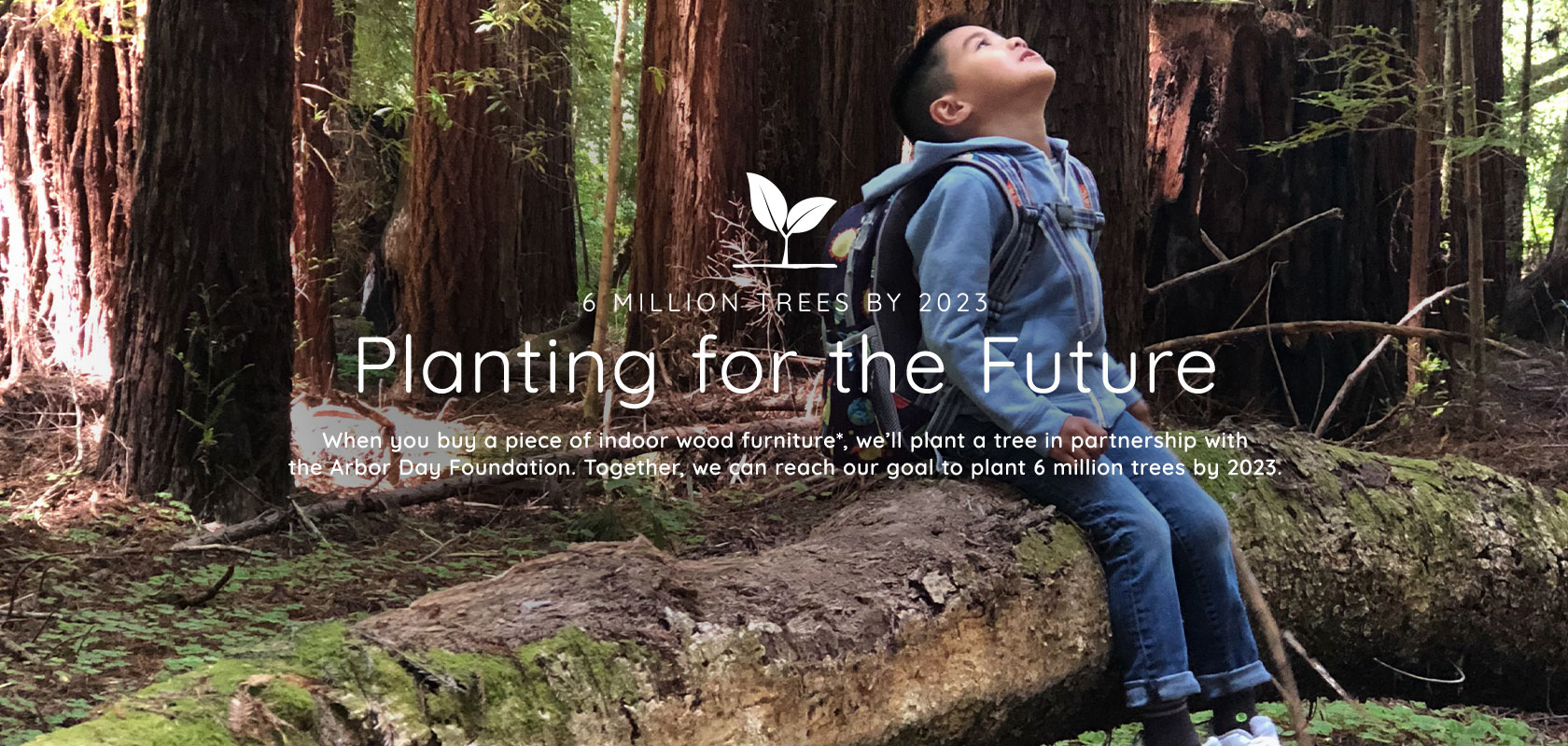 The Maker of Quilted Northern® Partners with Arbor Day Foundation® to Plant  Two Million Trees Across U.S. by End of 2021