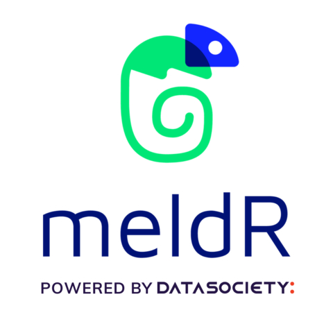 meldR, powered by Data Society,
LXCP for upskilling organizations with Data Science, AI, and ML (Graphic: Business Wire)