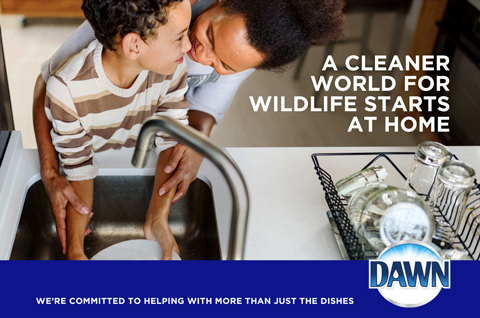 A Cleaner World for Wildlife Starts at Home (Graphic: Business Wire)