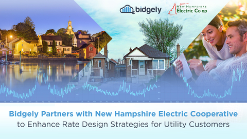 New Hampshire Energy Cooperative utilized Bidgely’s UtilityAI platform to analyze consumption data, identify “low-cost-to-serve” behaviors and examine the potential effect of rate restructures. (Graphic: Business Wire)