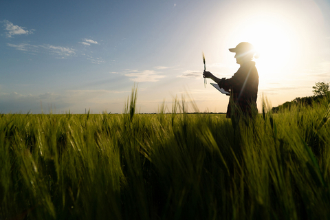 AGCO releases 2021 Sustainability Report. Farmer with tablet examines wheat crop.  (Photo: Business Wire)