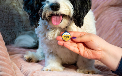 Lightweight and durable, AskVet One Pet ID will help your lost dog get home to you. (Photo: Business Wire)