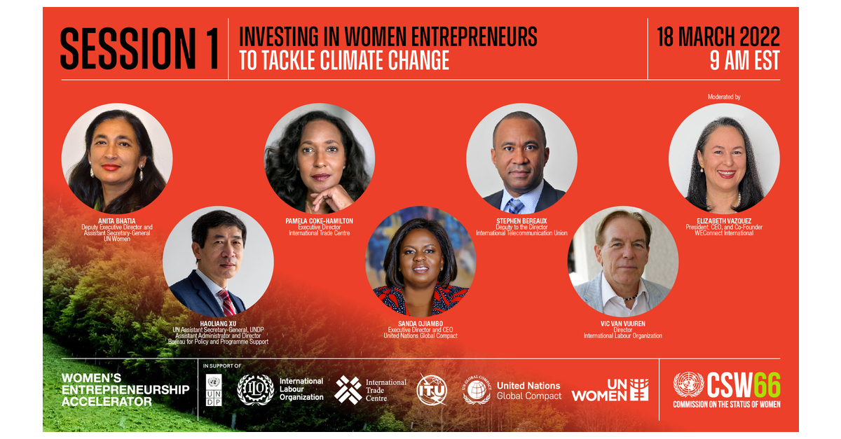EmPower Her launches to advance women energy entrepreneurs in developing  countries