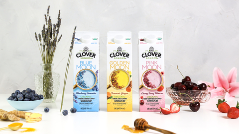 Clover Sonoma Organic Moon Milks will be available nationally at Whole Foods Market starting in April in three flavors: Golden Moon (Turmeric Ginger), Blue Moon (Blueberry Lavender) and Pink Moon (Cherry Berry Hibiscus). (Photo: Business Wire)