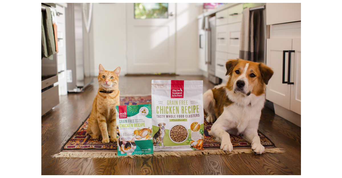 Honest kitchen outlet cat food samples