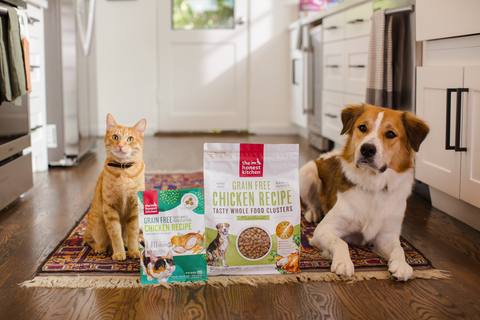 With over 170 offerings available, pet owners can shop The Honest Kitchen via Amazon and Chewy, as well as over 6,000 retail locations, including independent pet supply stores and Petco, Pet Supplies Plus, Sprouts and select Whole Foods. (Photo: Business Wire)