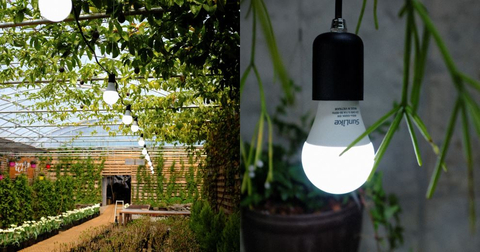 済州島のボロムワットに設置された自然光ライトのサンライク（写真：ビジネスワイヤ）