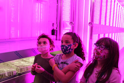 A Freight Farms “Greenery” hydroponic container farm introduces students to sustainable agriculture at Boys and Girls Clubs of Metro South, a Sensata Technologies Foundation grant partner. (Photo: Business Wire)