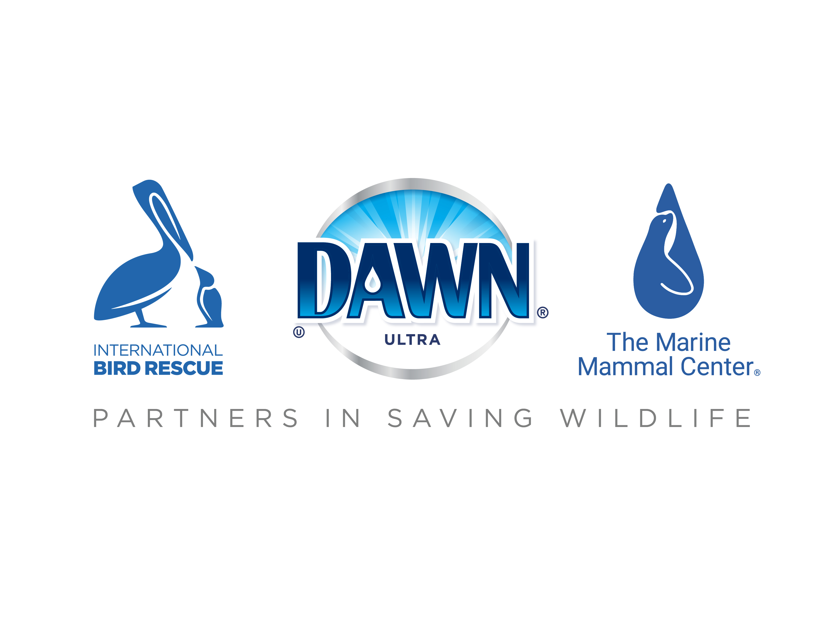 Dawn® Dish Soap Launches Next Wave of Efforts to Help Save Wildlife