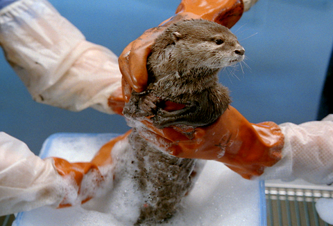 original (Photo: Business Wire)